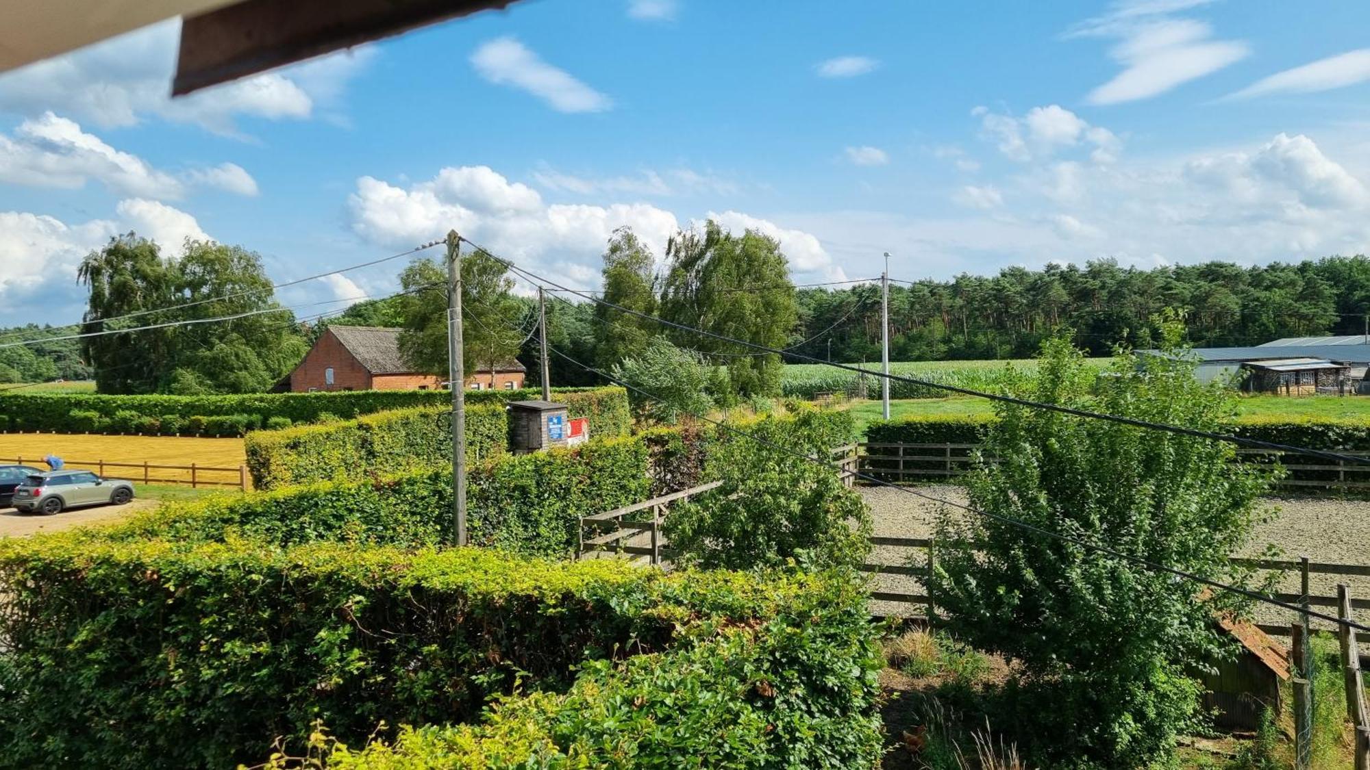Boshovense Velden Villa Grobbendonk Exterior foto